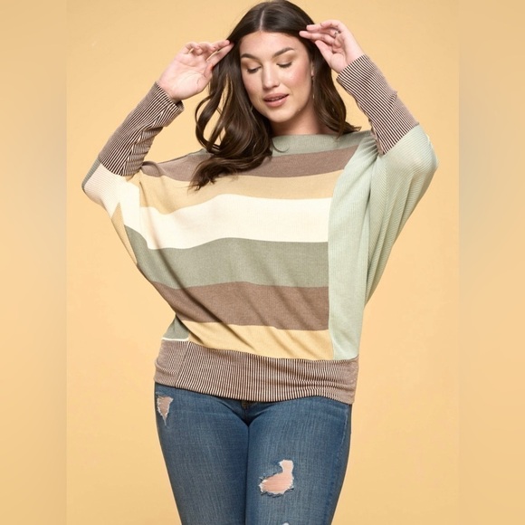 Ms. Diva Plus.. Sage..Khaki..Leopard Color Block Top - Picture 4 of 5